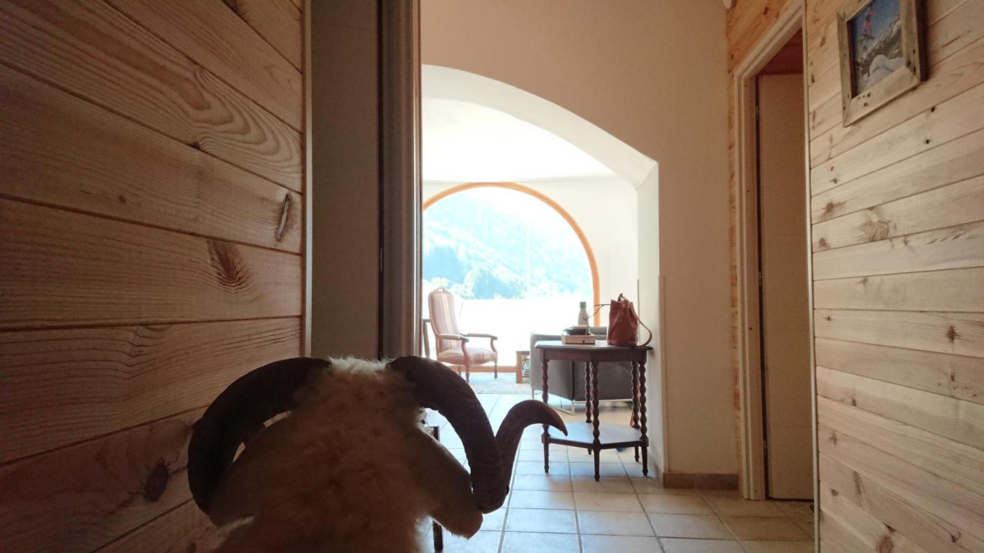 Superbe Logement 12 Pers Famille Ou Groupe. Laruns Buitenkant foto